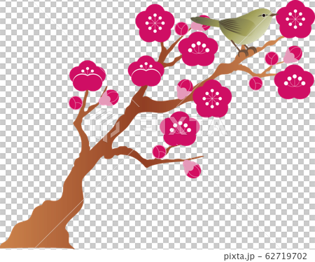 うぐいす 梅 花 小鳥 春 うぐいす 梅 花 小鳥 春 62719702