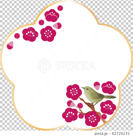 Uguisu梅花鳥春天框架複製空間 Uguisu梅花鳥春天框架複製空間 62720231