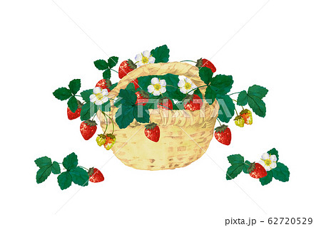 苺とバスケットのイラスト素材