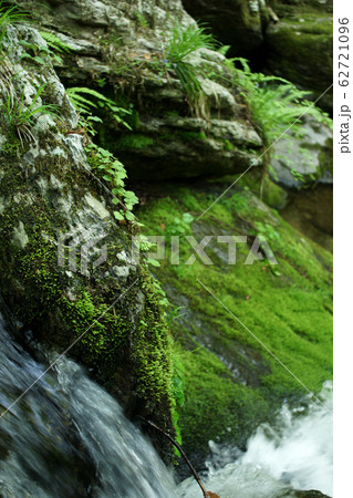 四季の散歩　春　岩井滝 62721096