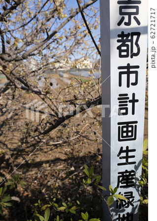 生産緑地　Productive green areas 62721717