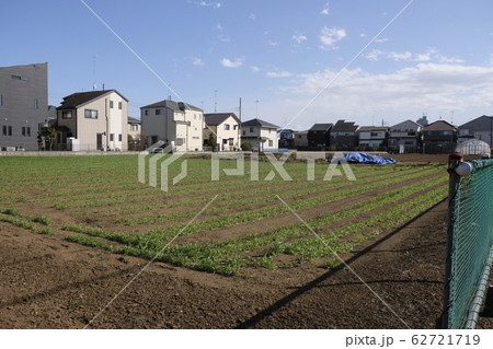 生産緑地 Productive green areas 生産緑地 Productive green areas 62721719