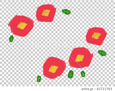 茶花框架白 62721763