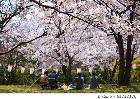 お昼休みに公園で花見を楽しむ会社員 お昼休みに公園で花見を楽しむ会社員 62722176