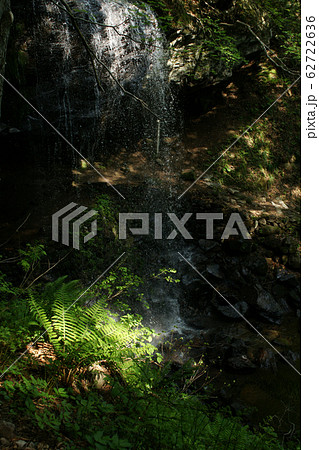 四季の散歩　春　岩井滝 62722636