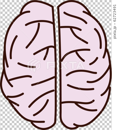 Brain As Seen From The Top Stock Illustration