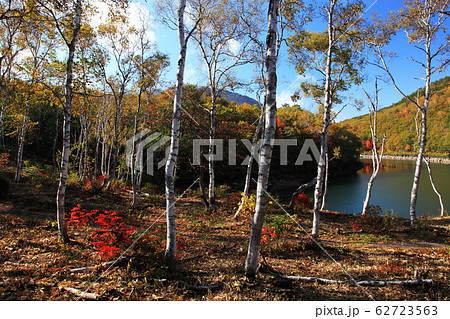 志賀高原琵琶池湖畔の秋の写真素材