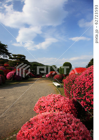 春の岡谷市鶴峰公園 62723593