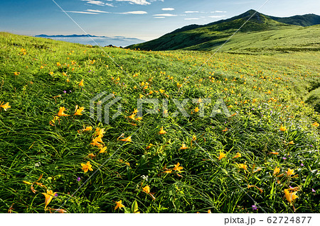 ニッコウキスゲ咲く飯豊連峰稜線と飯豊本山・朝日連峰の眺め ニッコウキスゲ咲く飯豊連峰稜線と飯豊本山・朝日連峰の眺め 62724877