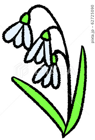 スノードロップ 62725090