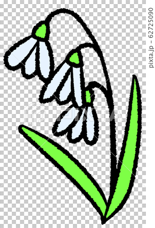 スノードロップ 62725090