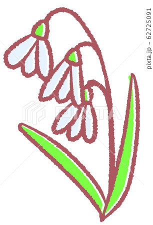 スノードロップ 62725091