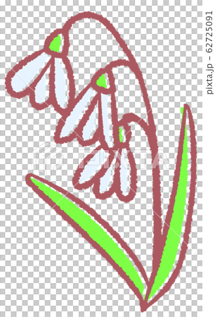 スノードロップ 62725091