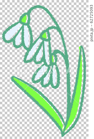 Snow Drop Snow Drop 62725093