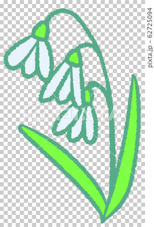 Snow Drop Snow Drop 62725094