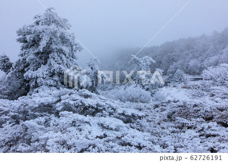 雲仙　仁田峠冬景色　【長崎県雲仙市】 62726191
