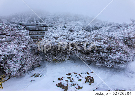 雲仙 仁田峠冬景色 【長崎県雲仙市】 雲仙 仁田峠冬景色 【長崎県雲仙市】 62726204