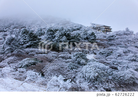 雲仙　仁田峠冬景色　【長崎県雲仙市】 62726222