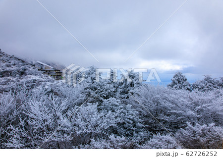 雲仙　仁田峠冬景色　【長崎県雲仙市】 62726252