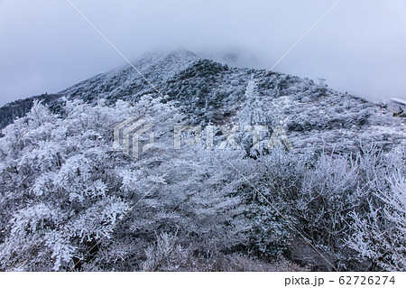 雲仙 仁田峠冬景色 【長崎県雲仙市】 雲仙 仁田峠冬景色 【長崎県雲仙市】 62726274