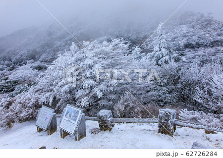 雲仙　仁田峠冬景色　【長崎県雲仙市】 62726284