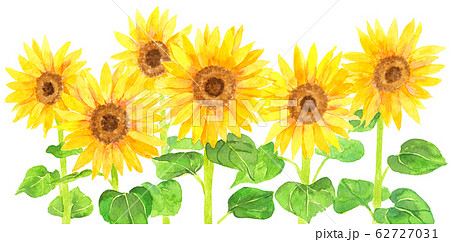 Watercolor Sunflower Front Stock Illustration