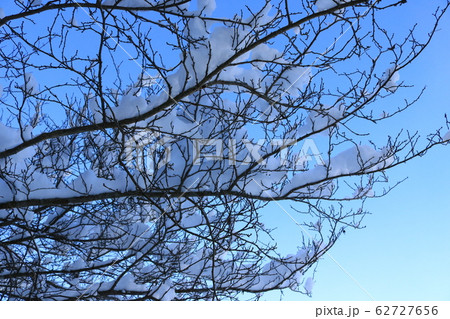 雪持ちのイメージ 62727656