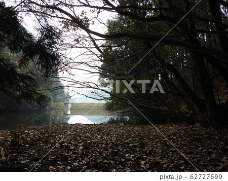 森　yoshino 62727699