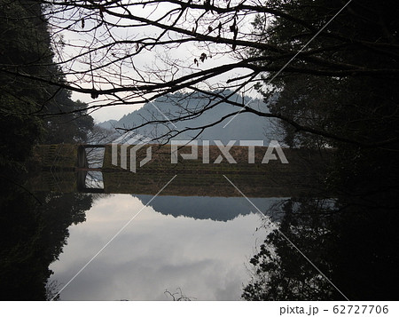 森　yoshino 62727706