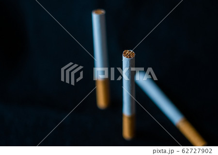 たばこ タバコ 煙草の写真素材