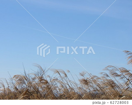 冬の空　 62728003