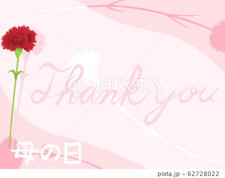 母の日の背景 62728022