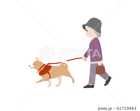 犬の散歩 おばあさんのイラスト素材