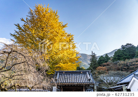 雷山千如寺大悲王院(福岡県糸島市) 雷山千如寺大悲王院(福岡県糸島市) 62731235