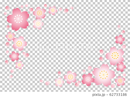 桜フレーム【白背景】 62733186