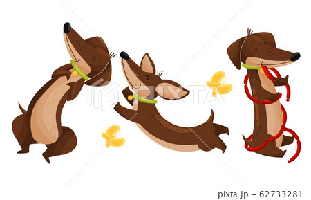Cartoon Short-legged Dachshund Character with Long Body Eating Sausages and Catching Butterflies Vector Set 62733281
