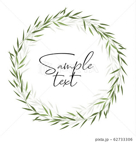 Bamboo green leaves 62733306