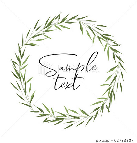 Bamboo green leaves 62733307