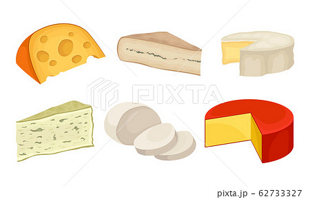 Cheese Types with Blue Cheese and Swiss Cheese Slabs Vector Set Cheese Types with Blue Cheese and Swiss Cheese Slabs Vector Set 62733327