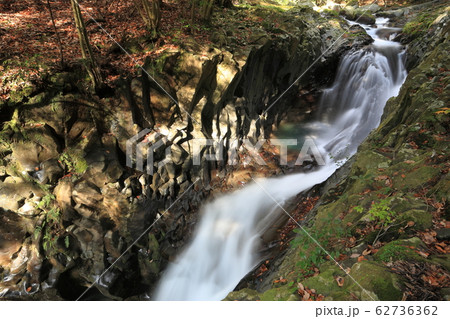 河津七滝　出合滝 62736362