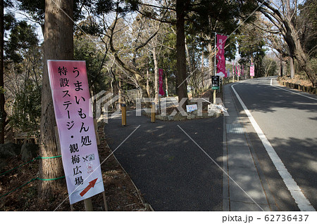 筑波山梅まつり2020 筑波山梅まつり2020 62736437