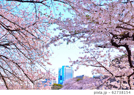 桜景 皇居 千鳥ヶ淵 桜景 皇居 千鳥ヶ淵 62738154