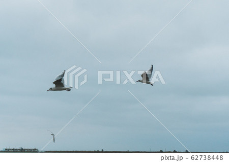 A seagull soars in the air above the sea 62738448