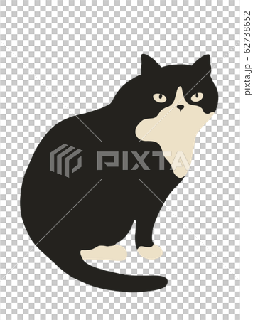 Cat catch illustration 62738652
