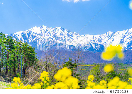 中山高原 北アルプスと菜の花 【長野県】 中山高原 北アルプスと菜の花 【長野県】 62739183