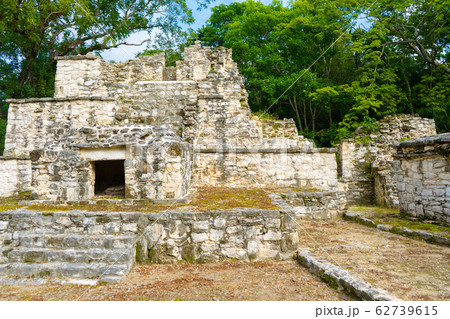 Ruins of ancient Muyil. Architecture of ancient maya. View with temple and other old buildings, houses. Blue sky and lush greenery of nature. travel photo. Wallpaper or background. Ruins of ancient Muyil. Architecture of ancient maya. View with temple and other old buildings, houses. Blue sky and lush greenery of nature. travel photo. Wallpaper or background. 62739615