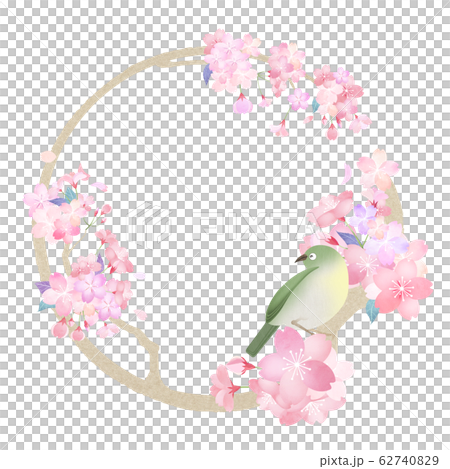 Material-Parts-Japanese-Japanese paper-Japanese style-Japanese pattern-Spring-Cherry-Pink-Circle-Frame 62740829