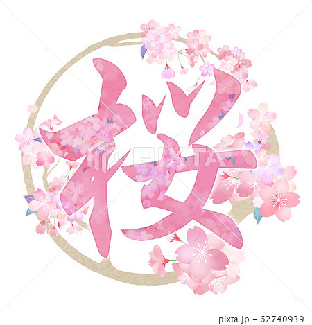 筆文字 和 和風 春 桜のイラスト素材