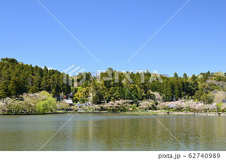 公園の池 公園の池 62740989