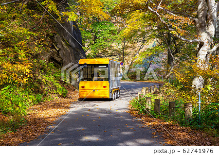 谷川岳一ノ倉沢に向かう国道291号線 秋景 谷川岳一ノ倉沢に向かう国道291号線 秋景 62741976